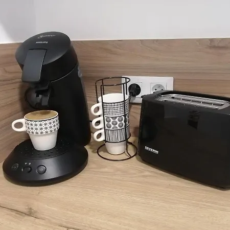 Le Blies'art - - 4 Pers Διαμέρισμα Sarreguemines