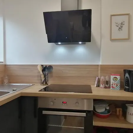 Le Blies'art - - 4 Pers Apartment Sarreguemines